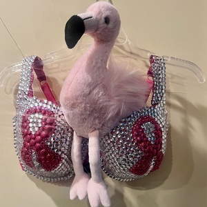 Team Page: We Flock for the Cause